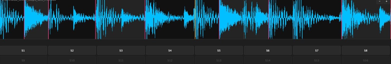 Close view of the TRACK-R waveform, with slice markers across the audio.